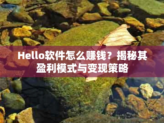 Hello软件怎么赚钱？揭秘其盈利模式与变现策略
