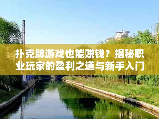 扑克牌游戏也能赚钱？揭秘职业玩家的盈利之道与新手入门指南