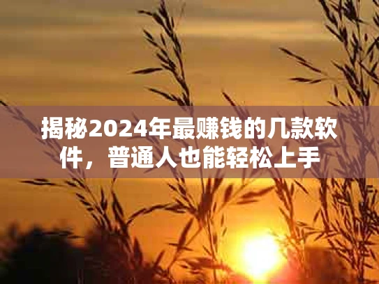 揭秘2024年最赚钱的几款软件，普通人也能轻松上手