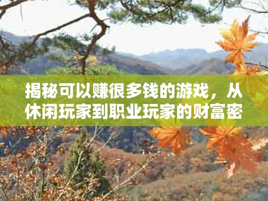 揭秘可以赚很多钱的游戏，从休闲玩家到职业玩家的财富密码
