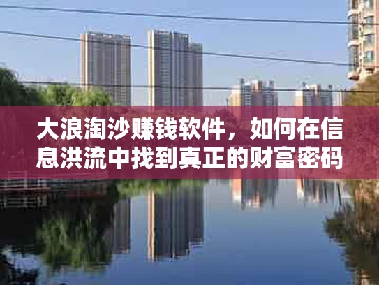 大浪淘沙赚钱软件，如何在信息洪流中找到真正的财富密码？