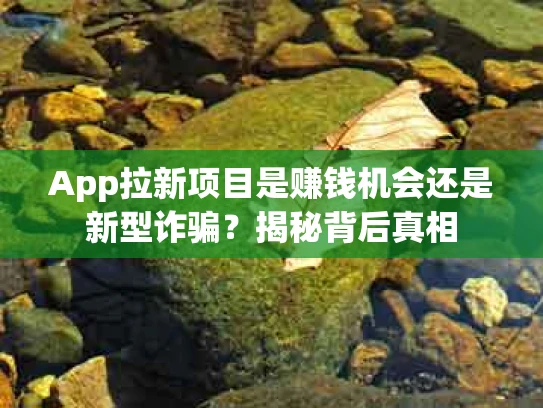App拉新项目是赚钱机会还是新型诈骗？揭秘背后真相