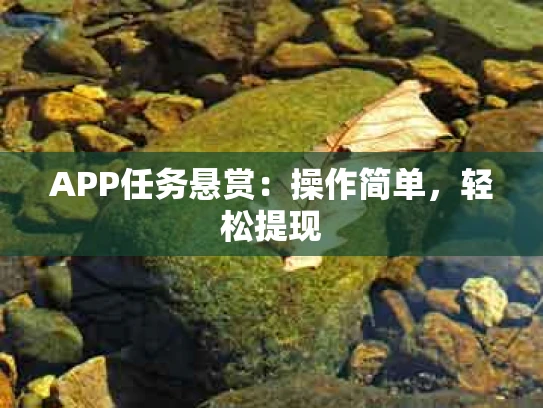APP任务悬赏：操作简单，轻松提现