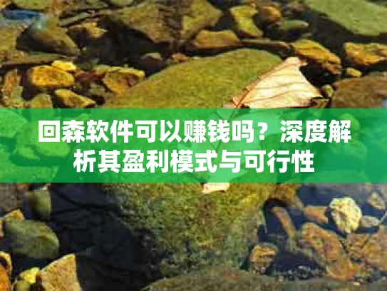 回森软件可以赚钱吗？深度解析其盈利模式与可行性