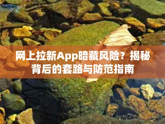 网上拉新App暗藏风险？揭秘背后的套路与防范指南