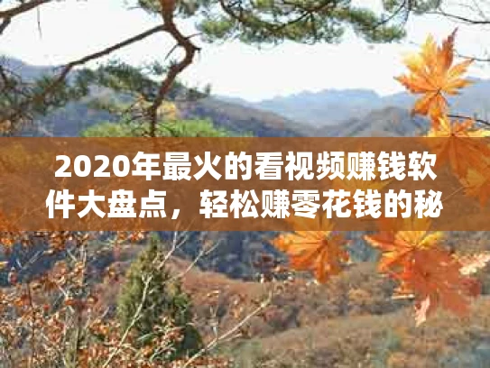 2020年最火的看视频赚钱软件大盘点，轻松赚零花钱的秘密