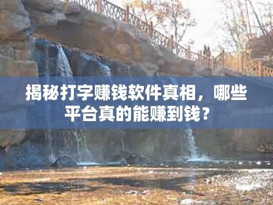 揭秘打字赚钱软件真相，哪些平台真的能赚到钱？