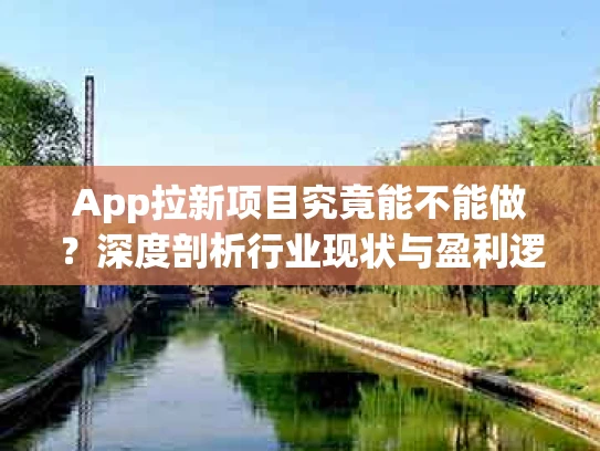 App拉新项目究竟能不能做？深度剖析行业现状与盈利逻辑