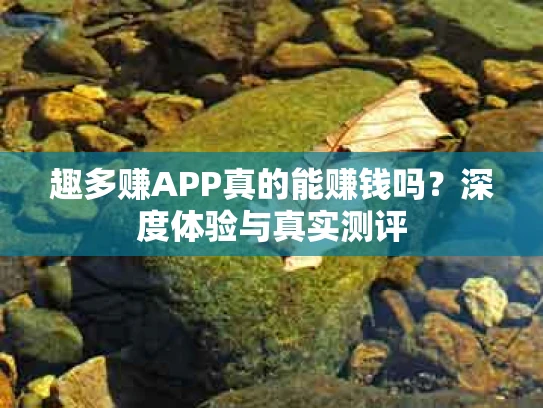 趣多赚APP真的能赚钱吗？深度体验与真实测评