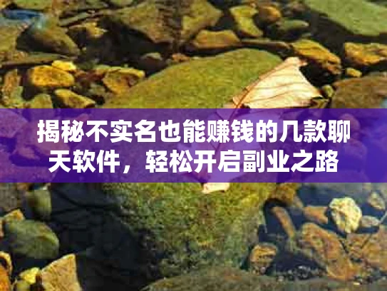 揭秘不实名也能赚钱的几款聊天软件，轻松开启副业之路