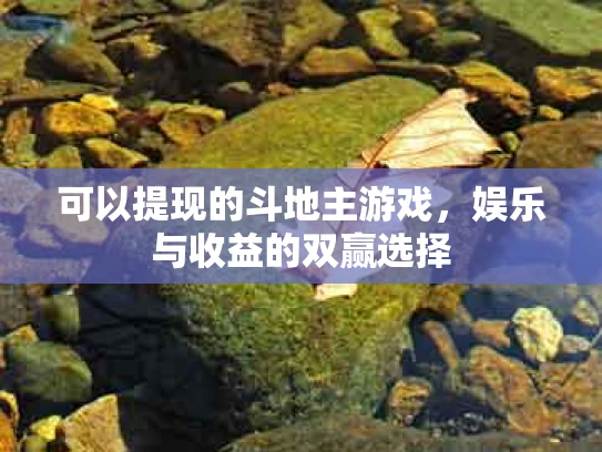 可以提现的斗地主游戏，娱乐与收益的双赢选择