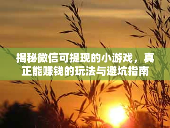 揭秘微信可提现的小游戏，真正能赚钱的玩法与避坑指南