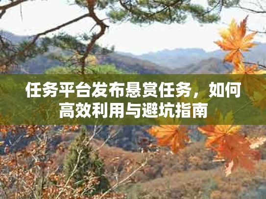任务平台发布悬赏任务，如何高效利用与避坑指南