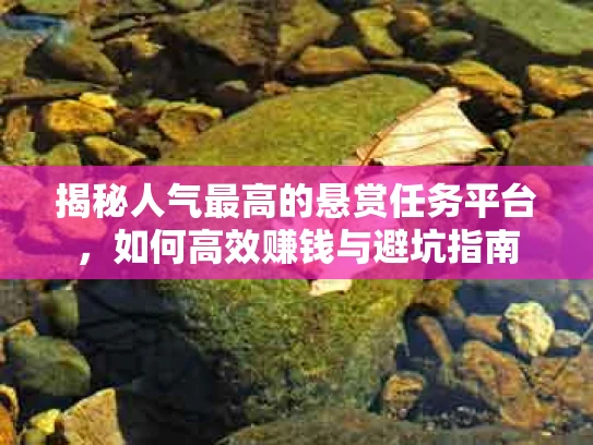 揭秘人气最高的悬赏任务平台，如何高效赚钱与避坑指南