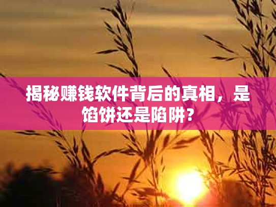 揭秘赚钱软件背后的真相，是馅饼还是陷阱？