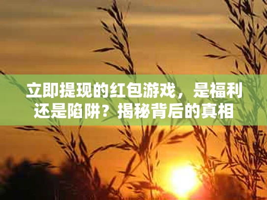 立即提现的红包游戏，是福利还是陷阱？揭秘背后的真相