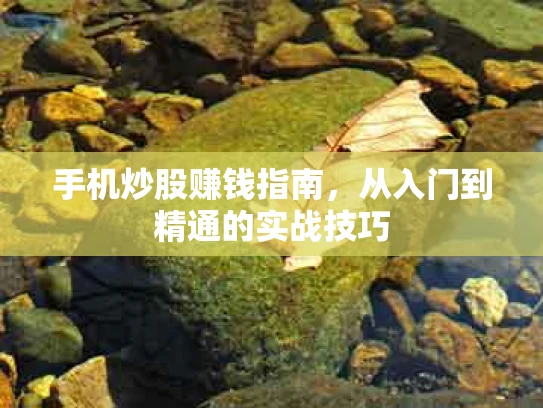 手机炒股赚钱指南，从入门到精通的实战技巧