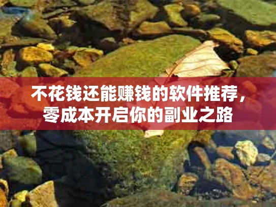 不花钱还能赚钱的软件推荐，零成本开启你的副业之路