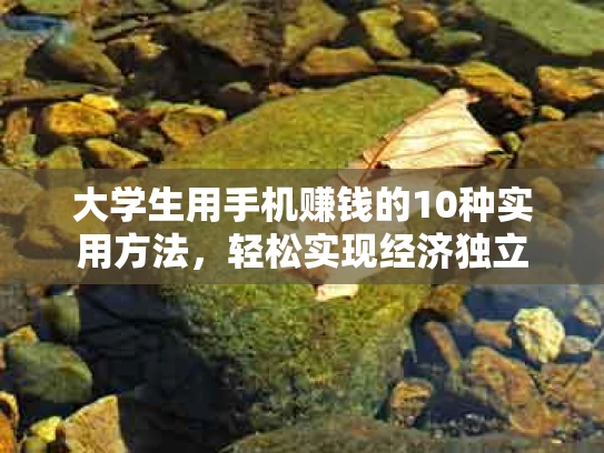 大学生用手机赚钱的10种实用方法，轻松实现经济独立