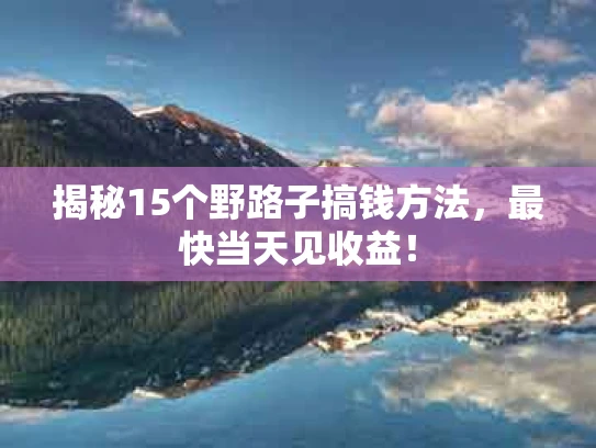揭秘15个野路子搞钱方法，最快当天见收益！