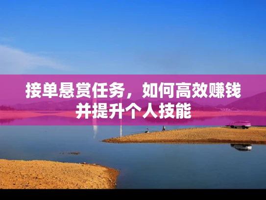 接单悬赏任务，如何高效赚钱并提升个人技能