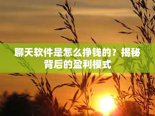 聊天软件是怎么挣钱的？揭秘背后的盈利模式