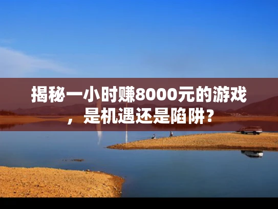 揭秘一小时赚8000元的游戏，是机遇还是陷阱？