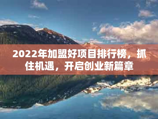 2022年加盟好项目排行榜，抓住机遇，开启创业新篇章