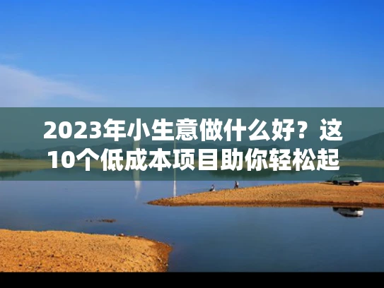 2023年小生意做什么好？这10个低成本项目助你轻松起步