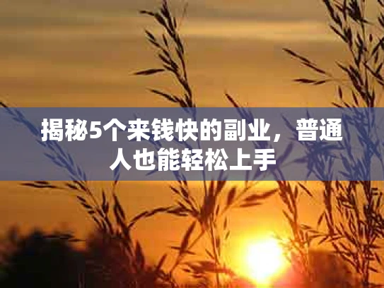 揭秘5个来钱快的副业，普通人也能轻松上手