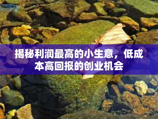 揭秘利润最高的小生意，低成本高回报的创业机会