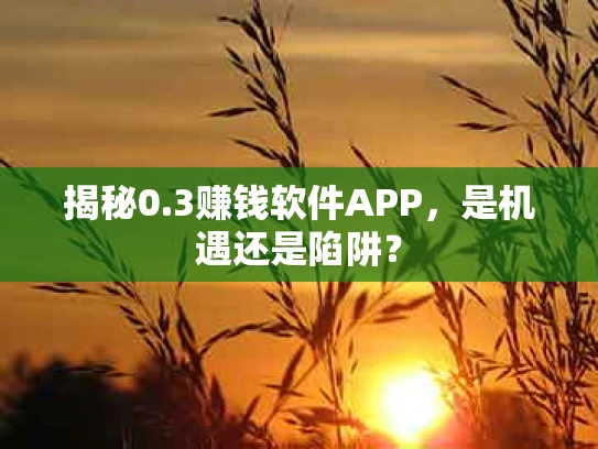揭秘0.3赚钱软件APP，是机遇还是陷阱？