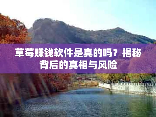 草莓赚钱软件是真的吗？揭秘背后的真相与风险