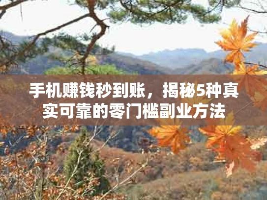 手机赚钱秒到账，揭秘5种真实可靠的零门槛副业方法