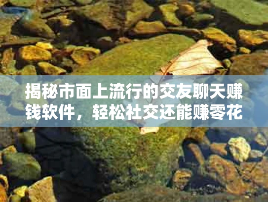 揭秘市面上流行的交友聊天赚钱软件，轻松社交还能赚零花钱