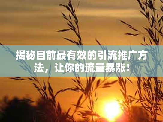 揭秘目前最有效的引流推广方法，让你的流量暴涨！