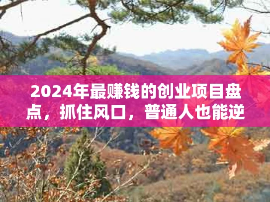 2024年最赚钱的创业项目盘点，抓住风口，普通人也能逆袭