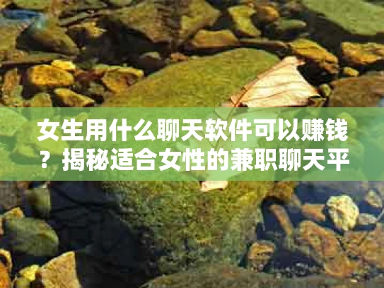 女生用什么聊天软件可以赚钱？揭秘适合女性的兼职聊天平台