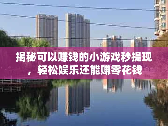 揭秘可以赚钱的小游戏秒提现，轻松娱乐还能赚零花钱