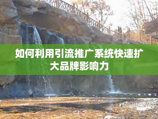 如何利用引流推广系统快速扩大品牌影响力