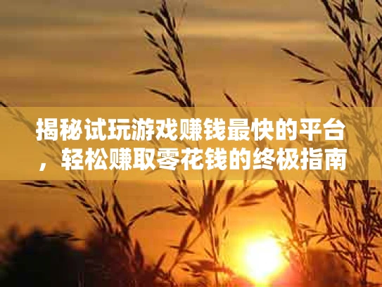 揭秘试玩游戏赚钱最快的平台，轻松赚取零花钱的终极指南