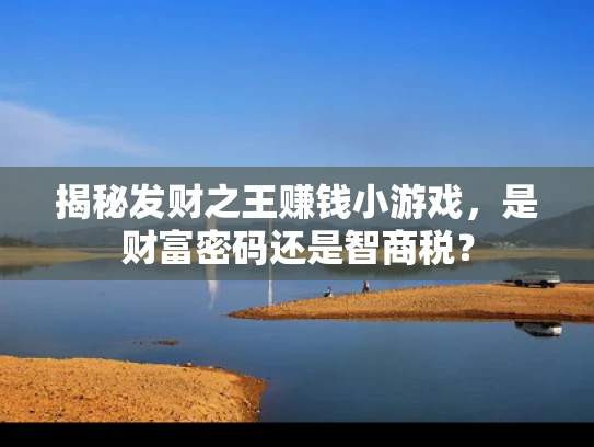 揭秘发财之王赚钱小游戏，是财富密码还是智商税？