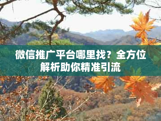 微信推广平台哪里找？全方位解析助你精准引流