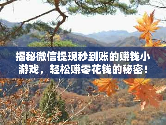 揭秘微信提现秒到账的赚钱小游戏，轻松赚零花钱的秘密！