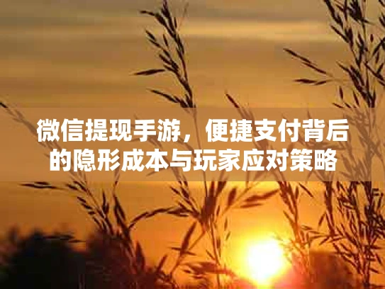 微信提现手游，便捷支付背后的隐形成本与玩家应对策略