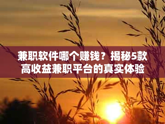 兼职软件哪个赚钱？揭秘5款高收益兼职平台的真实体验
