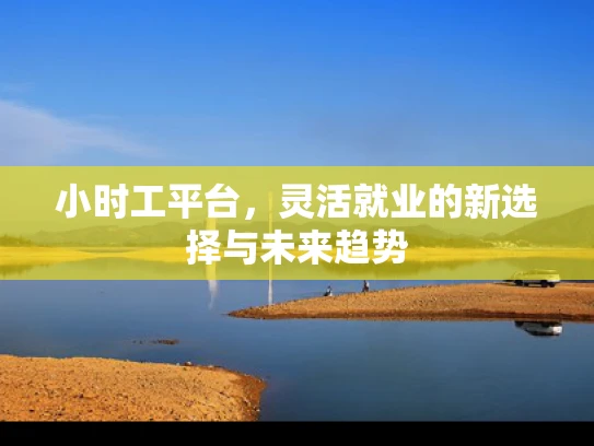小时工平台，灵活就业的新选择与未来趋势