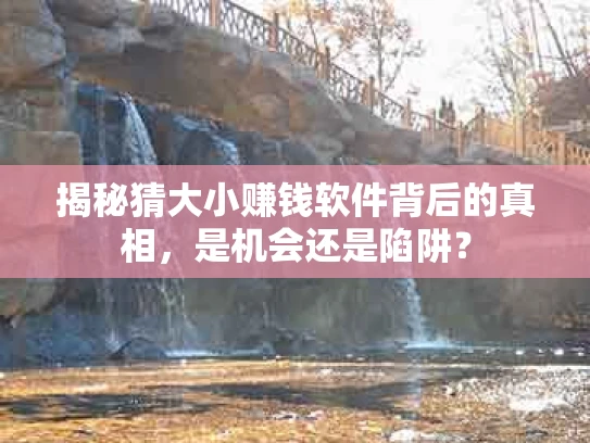 揭秘猜大小赚钱软件背后的真相，是机会还是陷阱？