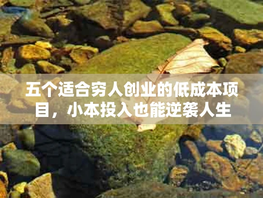 五个适合穷人创业的低成本项目，小本投入也能逆袭人生