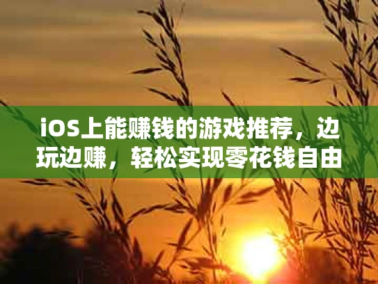 iOS上能赚钱的游戏推荐，边玩边赚，轻松实现零花钱自由